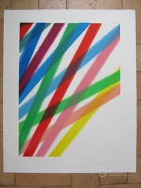 Incisione Acquatinta1990 di PIERO DORAZIO cm.90x78