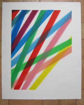 Incisione Acquatinta1990 di PIERO DORAZIO cm.90x78