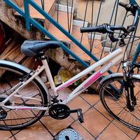 Bicicletta da donna 