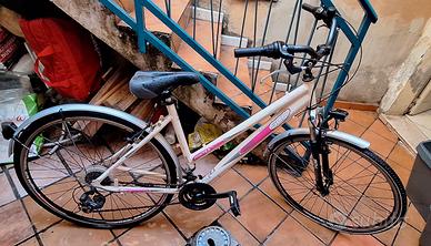 Bicicletta da donna 