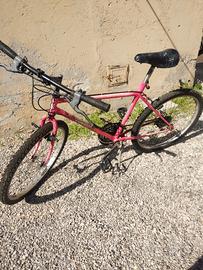 Mountain Bike Vintage Zanardo - Rosa Fluo 