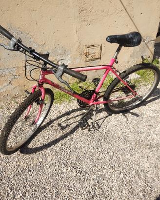 Mountain Bike Vintage Zanardo - Rosa Fluo 