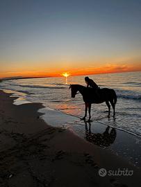 Casa mare puglia Gargano Marina di lesina