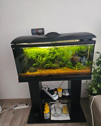 Acquario