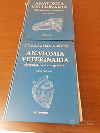 libri di testo universitari anatomia veterinaria 