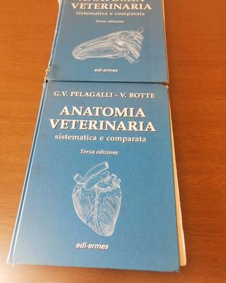libri di testo universitari anatomia veterinaria 