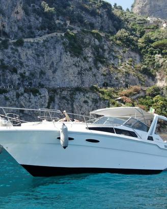 Sea Ray 30 Sundeck (1989)