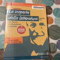 La scoperta della letteratura