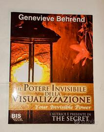 il potere invisibile della visualizzazione