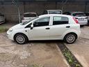 fiat-punto-1-2-8v-5-porte-lounge