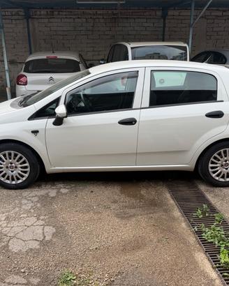 Fiat Punto 1.2 8V 5 porte Lounge