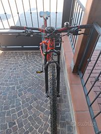 bici mtb