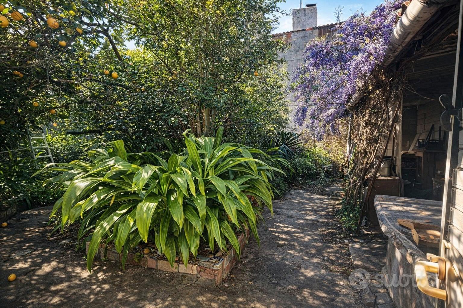 Appartamento – Terralba, Aristanis/Oristano - Altro
