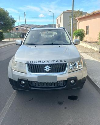 vedo suzuki G.V.