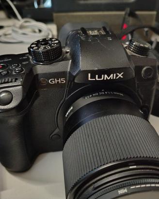 Panasonic GH5 (Solo corpo macchina) + Accessori
