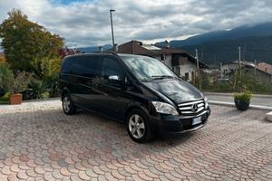 Mercedes Viano 