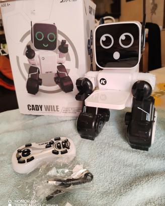 robot 