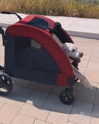passeggino cane 