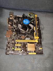 Scheda Madre ASUS + Intel i5-4670
