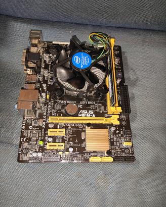 Scheda Madre ASUS + Intel i5-4670