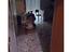 Immagine 7
