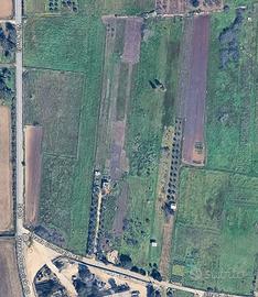 Terreno agricolo Carmiano (Strada comunale Mali)