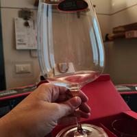 6 calici nuovi in cristallo Viedel 