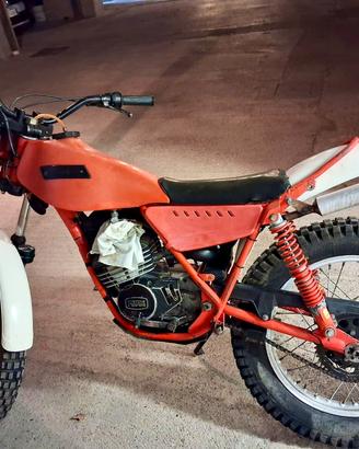 Trial 50 Fantic
