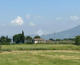 TER. RESIDENZIALE A SPELLO