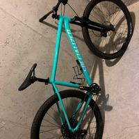 bicicletta