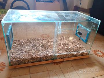 Terrario Vetro/Legno 70x38hx36cm