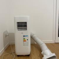 Pinguino Condizionatore Argo