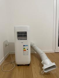 Pinguino Condizionatore Argo