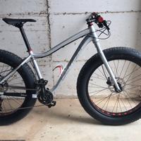 Fat bike