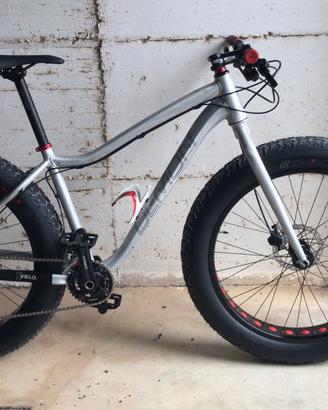 Fat bike
