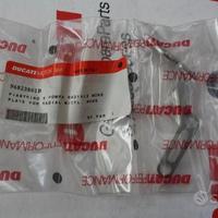 Piastrino Sx Pompa Radiale x Ducati Monster