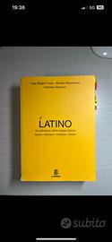 Dizionario il latino