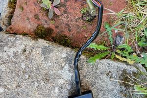 bobina hm cre 50 e booster Ng  50 