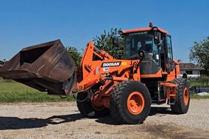 DOOSAN DL 250-5 _ Anno 2018