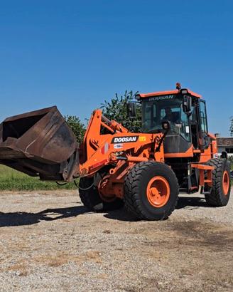 DOOSAN DL 250-5 _ Anno 2018