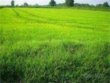 TERRENO AGRICOLO HA 16.70
