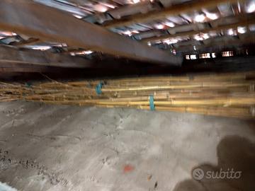 Canne di BAMBOO  NUOVE   Italiane  3/4mt.