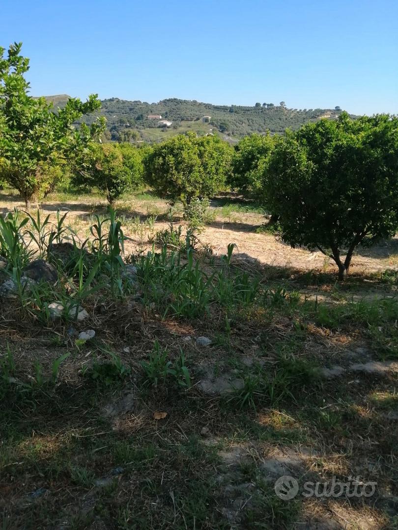 Terreno Agricolo Squillace Lido (CZ) - Altro