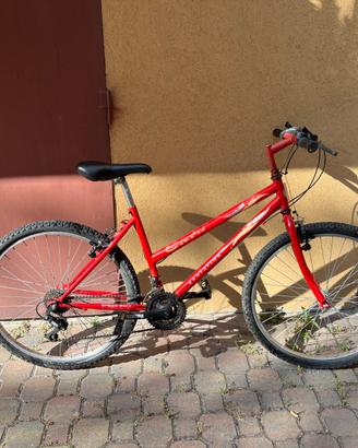 Bici Bologna zona stadio