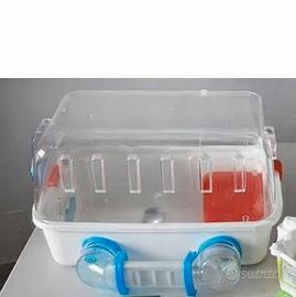 Do la gabbia completa per criceti con accessori