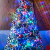 albero di Natale con neve