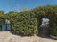Immagine 24