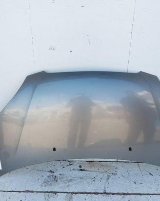 6640007510 COFANO ANTERIORE KIA PICANTO I REST (SA