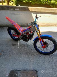 Trial beta sincro 300 factory