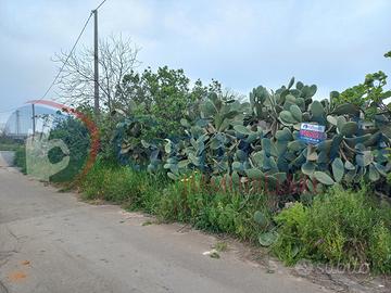 Terreno Agricolo Taviano [30scovieniVRG]